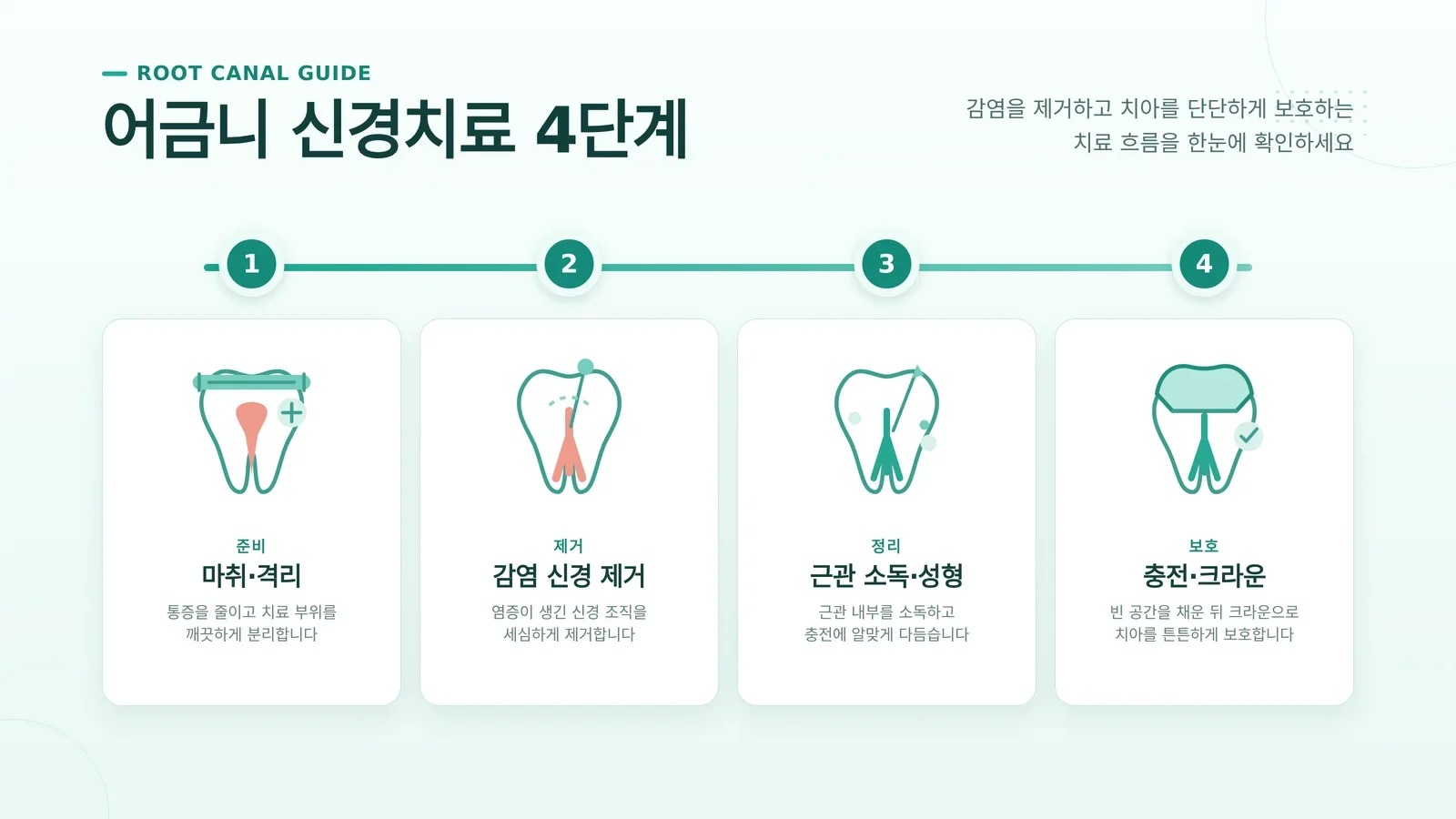 어금니 크라운 비용 검사와 관리 안내