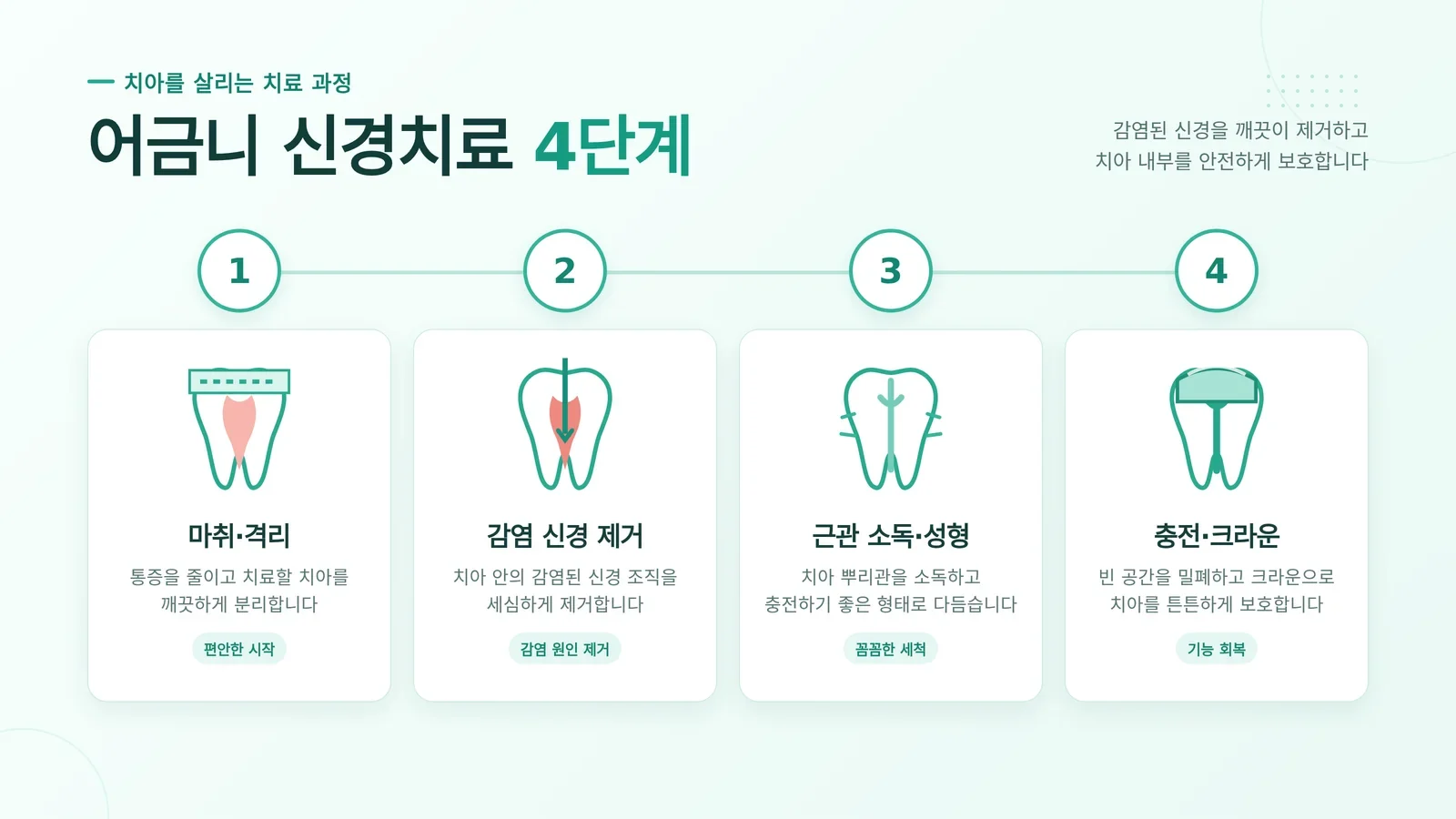 어금니 잇몸 통증 검사와 관리 안내